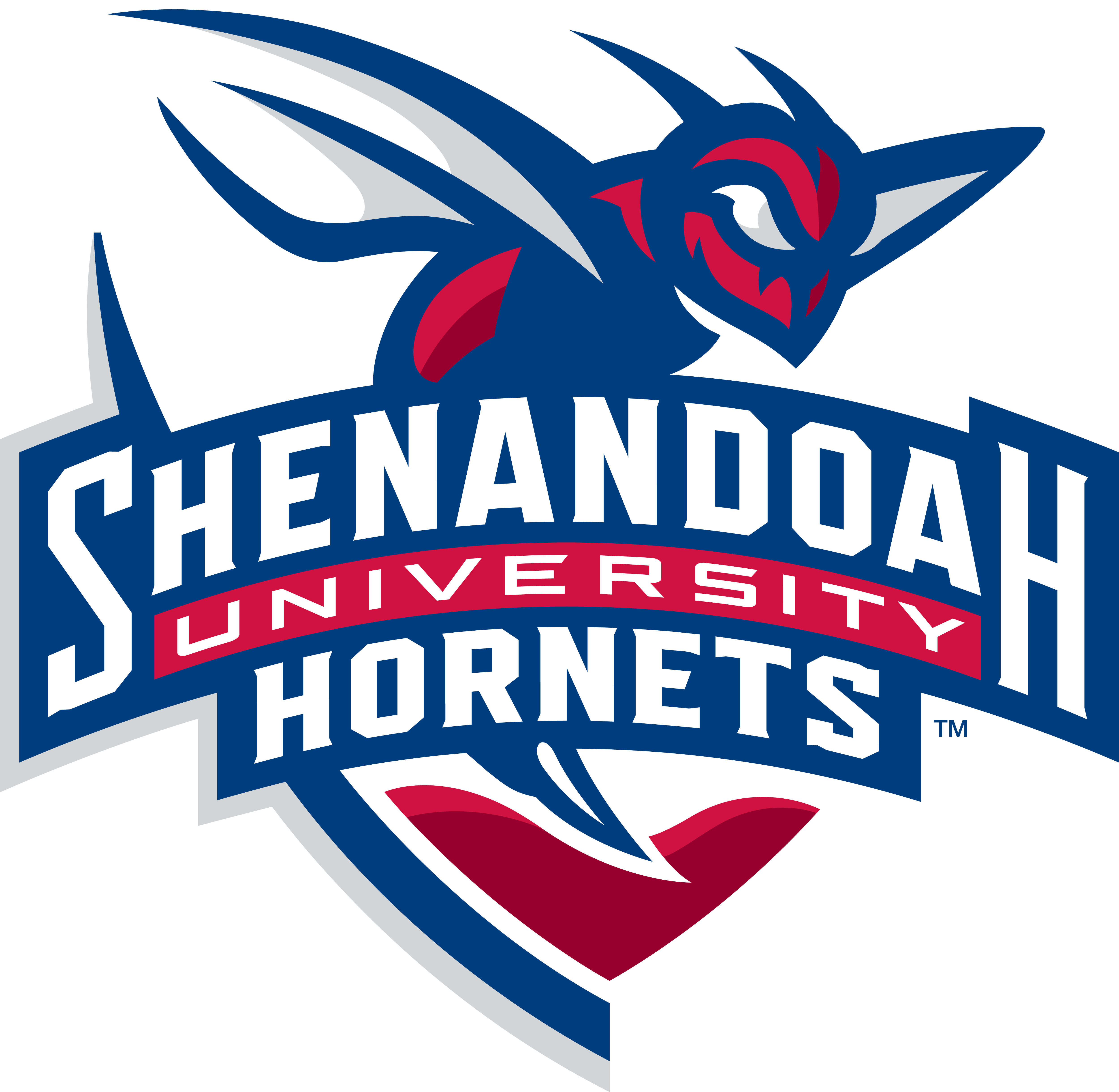 Shenandoah Hornets vs. Randolph-Macon Yellow Jackets - Football